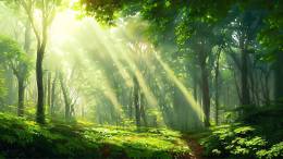 精霊の森・入口 