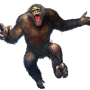 hit_ape.png