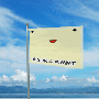 flag_400x300.gif